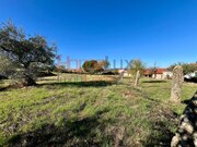 Terreno Rústico - Carviçais, Torre de Moncorvo, Bragança - Miniatura: 3/9