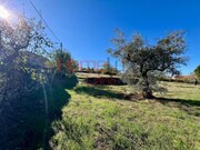 Terreno Rústico - Carviçais, Torre de Moncorvo, Bragança - Miniatura: 4/9