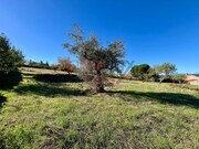 Terreno Rústico - Carviçais, Torre de Moncorvo, Bragança - Miniatura: 5/9