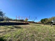 Terreno Rústico - Carviçais, Torre de Moncorvo, Bragança - Miniatura: 6/9