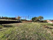 Terreno Rústico - Carviçais, Torre de Moncorvo, Bragança - Miniatura: 8/9