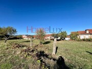 Terreno Rústico - Carviçais, Torre de Moncorvo, Bragança - Miniatura: 9/9