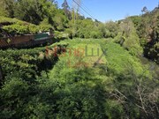 Terreno R�stico - Oliveira de Azemeis, Oliveira de Azem�is, Aveiro - Miniatura: 1/9