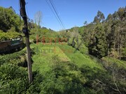 Terreno R�stico - Oliveira de Azemeis, Oliveira de Azem�is, Aveiro - Miniatura: 6/9