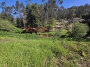 Terreno R�stico - Oliveira de Azemeis, Oliveira de Azem�is, Aveiro - Miniatura: 7/9