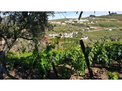 Terreno R�stico - Cambres, Lamego, Viseu