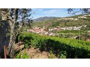 Terreno R�stico - Cambres, Lamego, Viseu - Miniatura: 5/9