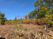 Terreno Rstico - Castro Daire, Castro Daire, Viseu - Miniatura: 1/8
