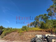 Terreno Rstico - Castro Daire, Castro Daire, Viseu - Miniatura: 5/8