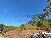 Terreno Rstico - Castro Daire, Castro Daire, Viseu - Miniatura: 6/8