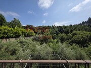 Moradia T4 - Oliveira de Azemeis, Oliveira de Azem�is, Aveiro - Miniatura: 9/9