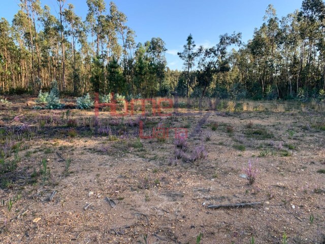 Terreno Urbano - Valongo do Vouga, Águeda, Aveiro - Imagem grande