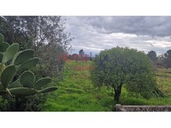 Terreno R�stico - Santiago de Besteiros, Tondela, Viseu