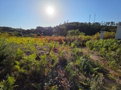 Terreno Rstico - Castro Daire, Castro Daire, Viseu