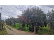 Terreno R�stico - Santiago de Besteiros, Tondela, Viseu - Miniatura: 1/9