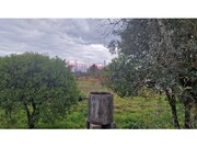 Terreno R�stico - Santiago de Besteiros, Tondela, Viseu - Miniatura: 5/9