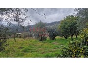 Terreno R�stico - Santiago de Besteiros, Tondela, Viseu - Miniatura: 7/9