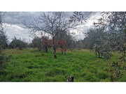 Terreno R�stico - Santiago de Besteiros, Tondela, Viseu - Miniatura: 8/9