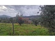 Terreno R�stico - Santiago de Besteiros, Tondela, Viseu - Miniatura: 9/9