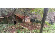 Outros T2 - Oliveira de Azemeis, Oliveira de Azemis, Aveiro - Miniatura: 7/9