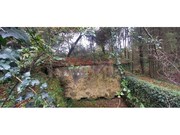 Outros T2 - Oliveira de Azemeis, Oliveira de Azemis, Aveiro - Miniatura: 8/9