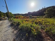 Terreno Rstico - Castro Daire, Castro Daire, Viseu - Miniatura: 4/9