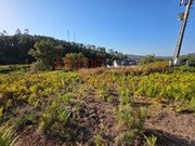 Terreno Rstico - Castro Daire, Castro Daire, Viseu - Miniatura: 5/9