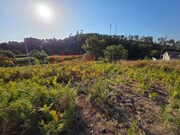 Terreno Rstico - Castro Daire, Castro Daire, Viseu - Miniatura: 7/9