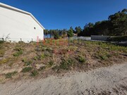 Terreno Rstico - Castro Daire, Castro Daire, Viseu - Miniatura: 8/9
