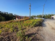 Terreno Rstico - Castro Daire, Castro Daire, Viseu - Miniatura: 9/9