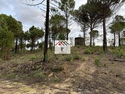 Terreno R�stico - Assafarge, Coimbra, Coimbra