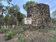 Terreno R�stico - Assafarge, Coimbra, Coimbra - Miniatura: 1/9