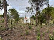Terreno R�stico - Assafarge, Coimbra, Coimbra - Miniatura: 2/9