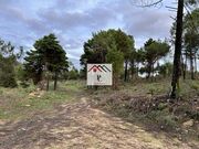 Terreno R�stico - Assafarge, Coimbra, Coimbra - Miniatura: 3/9