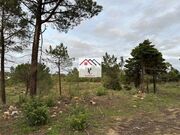 Terreno R�stico - Assafarge, Coimbra, Coimbra - Miniatura: 4/9