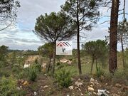Terreno R�stico - Assafarge, Coimbra, Coimbra - Miniatura: 5/9