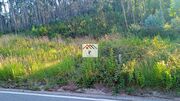 Terreno R�stico - Almalagu�s, Coimbra, Coimbra - Miniatura: 1/5