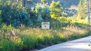 Terreno R�stico - Almalagu�s, Coimbra, Coimbra - Miniatura: 5/5