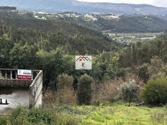 Terreno R�stico - Oliveira do Mondego, Penacova, Coimbra - Imagem grande