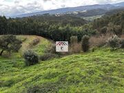Terreno R�stico - Oliveira do Mondego, Penacova, Coimbra - Miniatura: 4/9