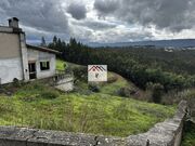 Terreno R�stico - Oliveira do Mondego, Penacova, Coimbra - Miniatura: 8/9