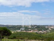 Terreno Rstico - Alcabideche, Cascais, Lisboa - Miniatura: 8/9