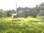 Terreno Rstico - Cascais, Cascais, Lisboa - Miniatura: 6/9