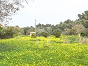Terreno Rstico - Cascais, Cascais, Lisboa - Miniatura: 7/9