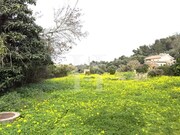 Terreno Rstico - Cascais, Cascais, Lisboa - Miniatura: 8/9