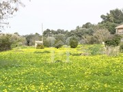 Terreno Rstico - Cascais, Cascais, Lisboa - Miniatura: 9/9