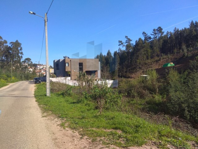 Terreno Rústico - São Martinho do Bispo, Coimbra, Coimbra - Imagem grande