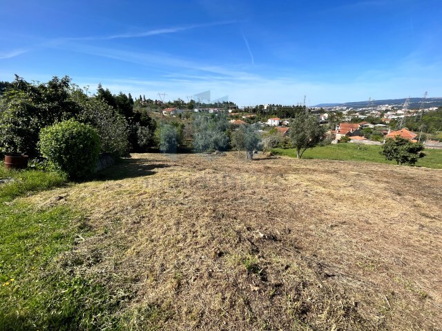 Terreno Rstico - Santa Clara, Coimbra, Coimbra - Imagem grande