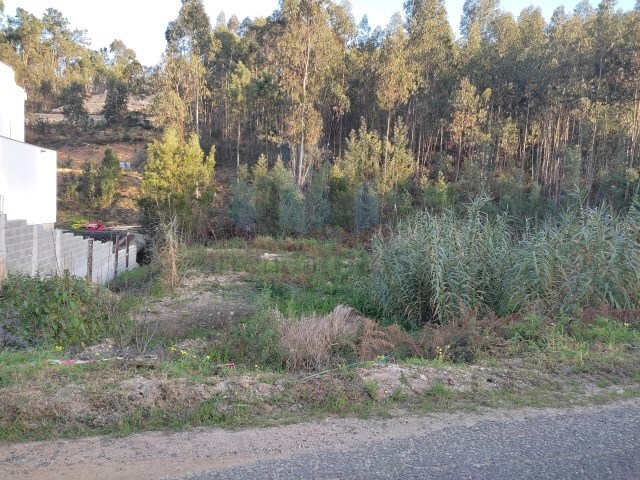 Terreno Rstico - So Martinho do Bispo, Coimbra, Coimbra - Imagem grande