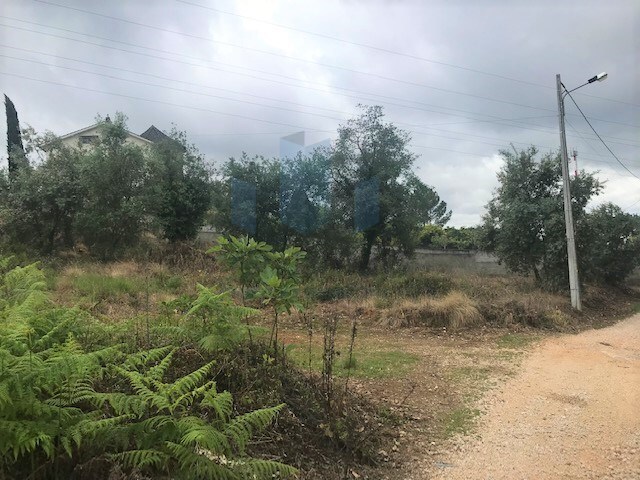 Terreno Rstico - Assafarge, Coimbra, Coimbra - Imagem grande